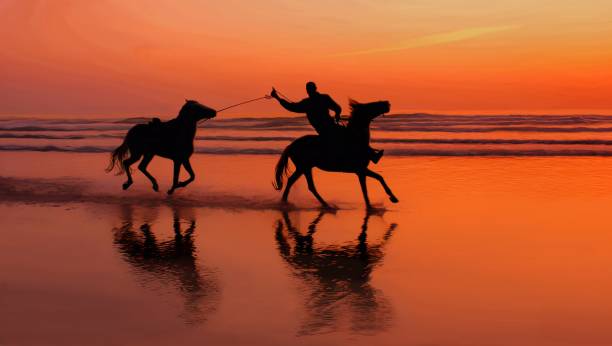 Transfer Service from Agadir to Essaouira