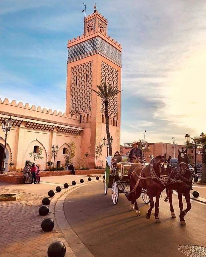 Transfer Service from Agadir to Marrakech