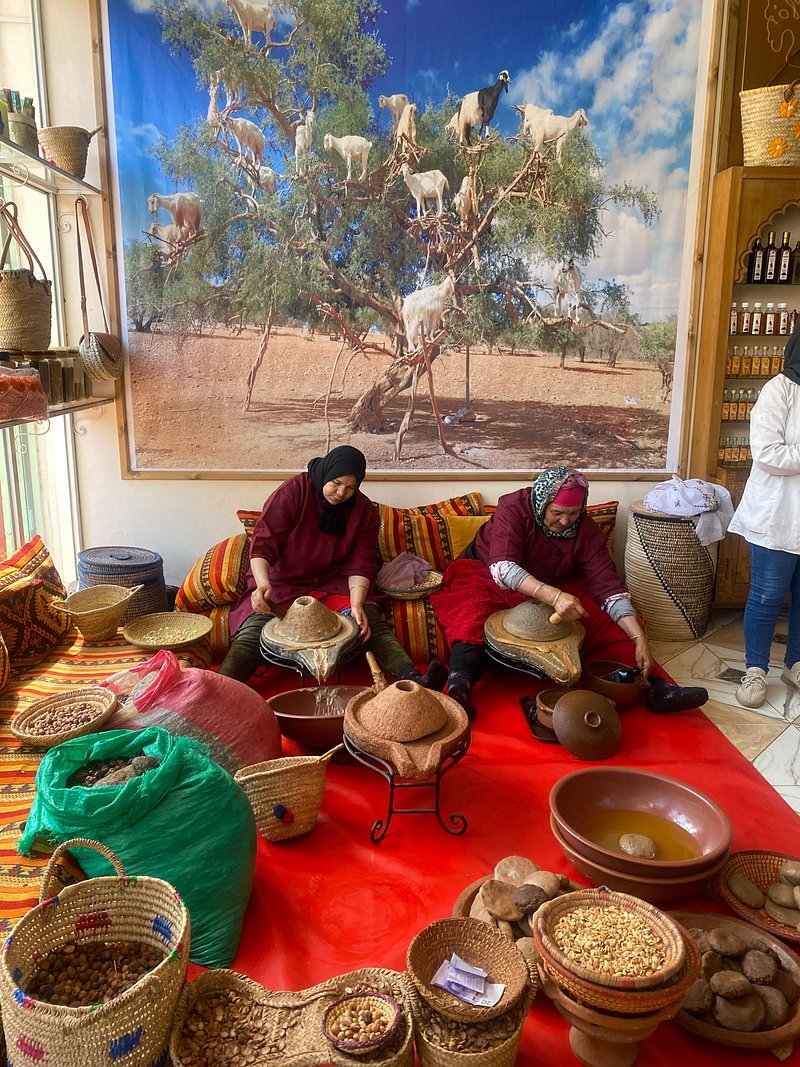 Marrakech to Ourika