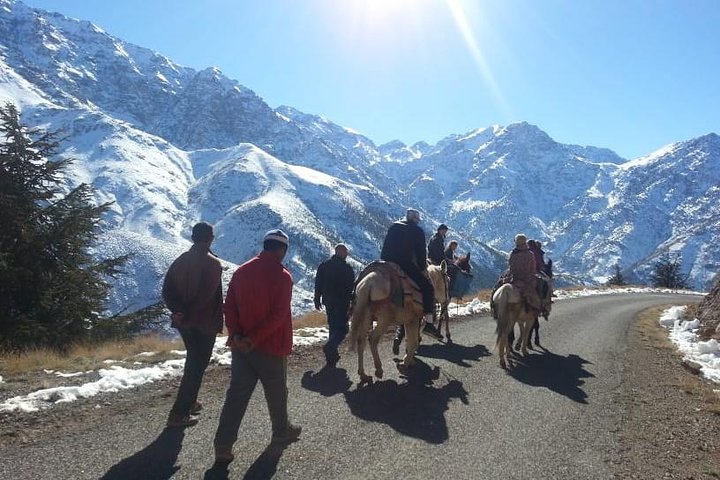 Marrakech to Imlil day trip